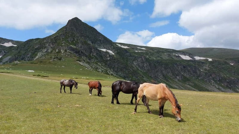 7 Rila lakes and Rila monastery day tour from Sofia - Leaving Sofia for the Rila Mountains