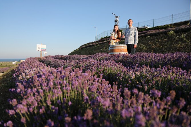 Aroma sampling of 5 Bulgarian Lavender varieties at DiVes Winery - Flowering Season and Summer Timing