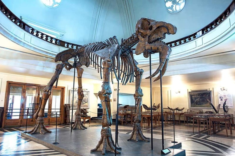 Audio Guide for Museum Paleontology and Historical Geology - Key points to know before you go