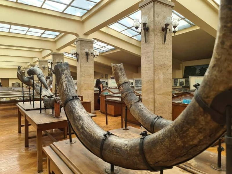 Audio Guide for Museum Paleontology and Historical Geology - More than 200,000 fossils, rocks, and maps