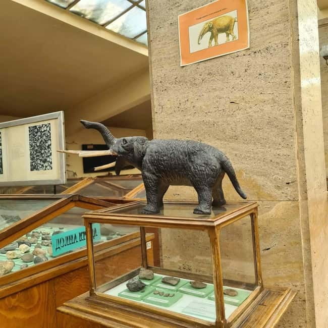 Audio Guide for Museum Paleontology and Historical Geology - The first major sight: Deinotherium thraciensis Nikolov