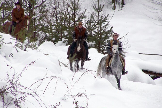 Balkan Horse Riding - Glozhene Monastery Ride - Through the century-old beech forest