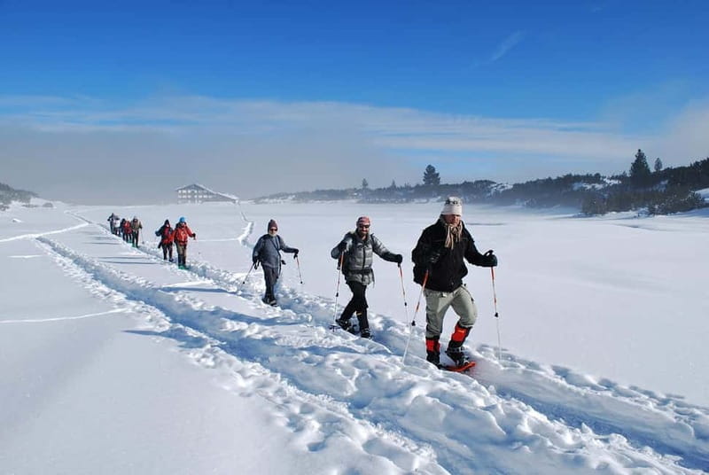 Bansko: Easy snowshoeing Pirin National Park & thermal spa - Pine forests, peaks, and changing mountain weather