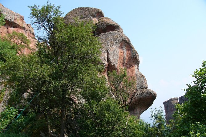 Belogradchik Full-day Tour from Sofia - Who should book this Belogradchik excursion?