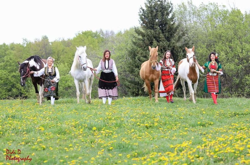 Borovets: Horse Riding Experience - Key points to know before booking