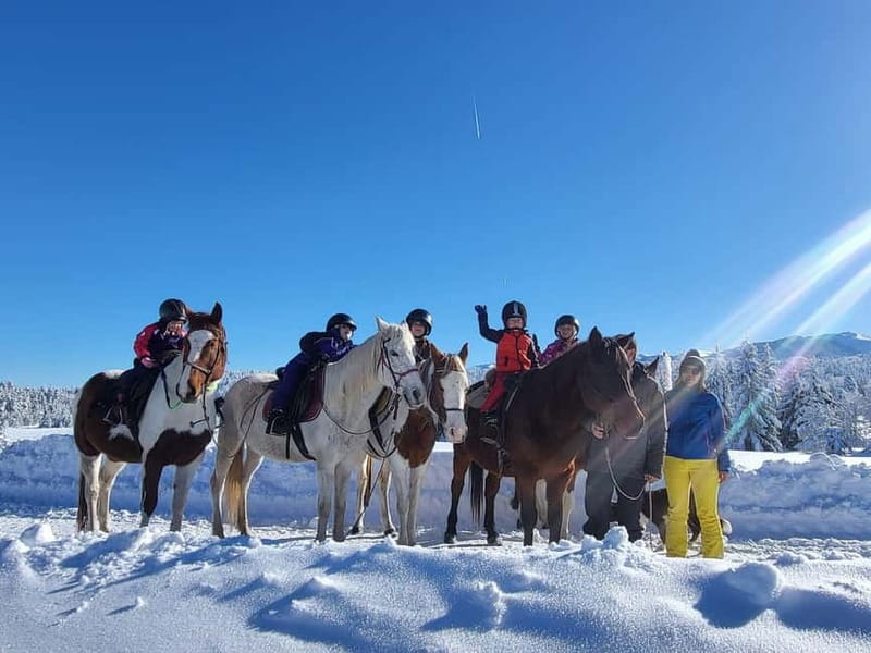 Borovets: Horse Riding Experience - Starting at Ski and Board Traventuria in Borovets