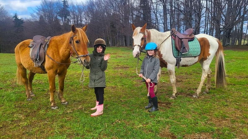Borovets: Horse Riding Experience - Learning the basics before you ride