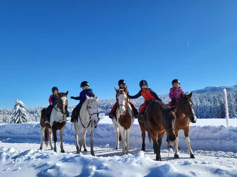 Borovets: Horse Riding Experience - The one-hour ride through Borovets scenery