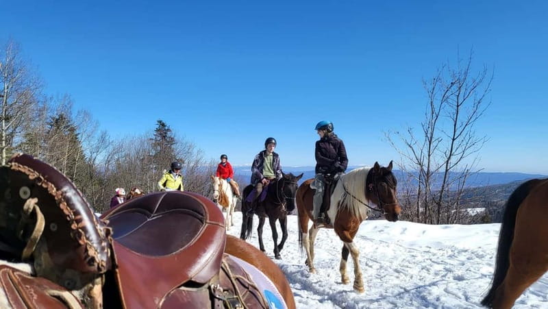 Borovets: Horse Riding Experience - What makes the horses and ranch experience special