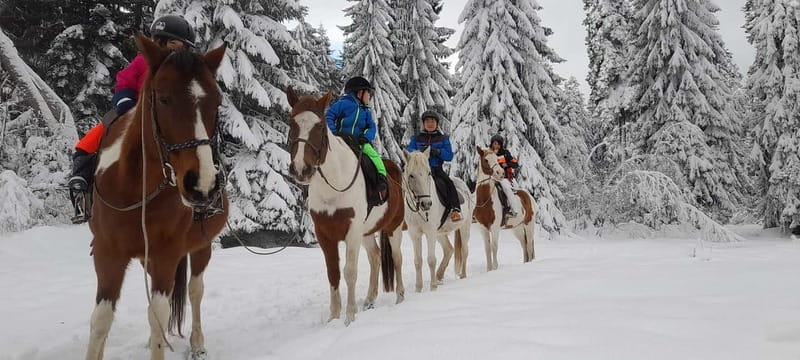 Borovets: Horse Riding Experience - A highly rated but still simple outdoor experience