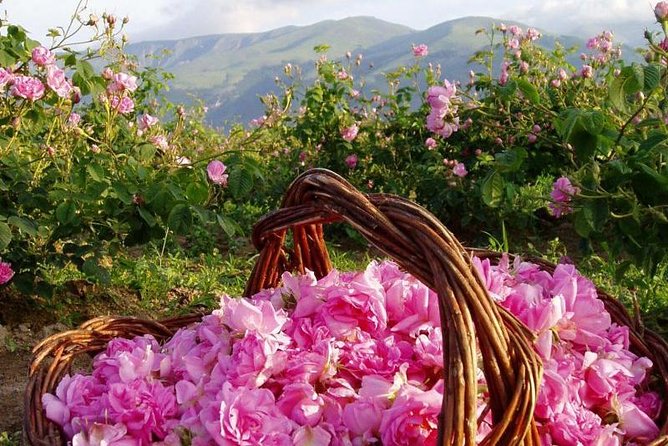 Buzludzha Monument and the Rose Valley Guided Day Tour - Why this makes a good day from Sofia