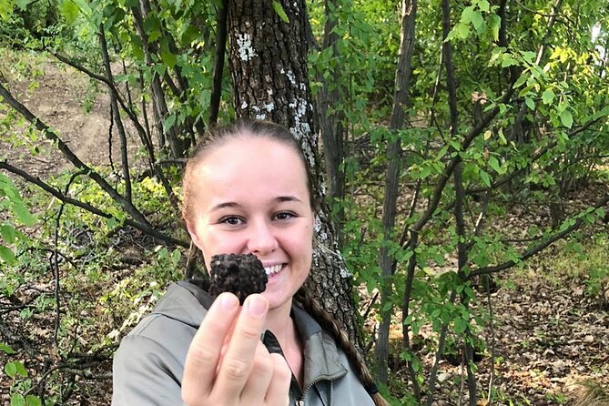 Culinary Adventure To The Fungi And Botanical Kingdom Of Bulgaria - Seasonal timing and practical planning