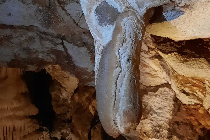 Day tour to the Natural wonders Belogradchik Rocks & Venetsa cave - Is the $118.95 price good value?