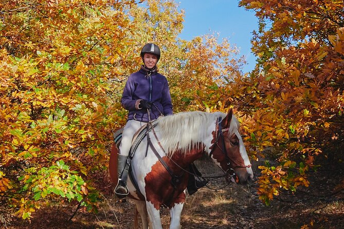 Escape Sofia: horse ride through Bulgaria's beauty - Why the small group changes the experience