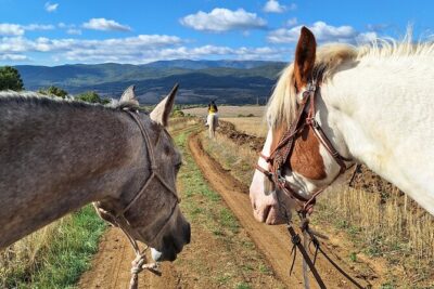 Escape Sofia: horse ride through Bulgaria´s beauty