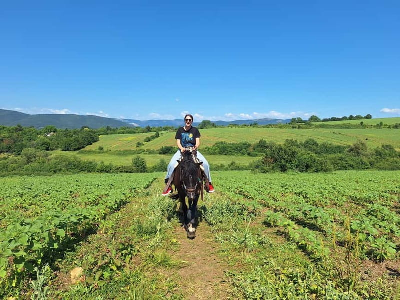 Escape Sofia: horse ride through Bulgaria´s beauty - Should you book this Sofia horse ride?