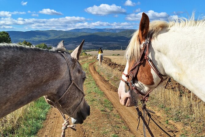 Escape Sofia: horse ride through Bulgaria´s beauty - Meeting Elisabeth and the horses