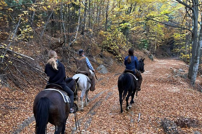 Exclusive Sofia: Nevsky, Vitosha Hoof, Boyana, Horse Ride & Spa - Ending with mineral water in Sapareva Banya