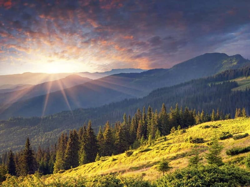 ✨Experience Sofia - nature, history, horse riding and SPA✨ - Why This Full-Day Sofia Escape Works