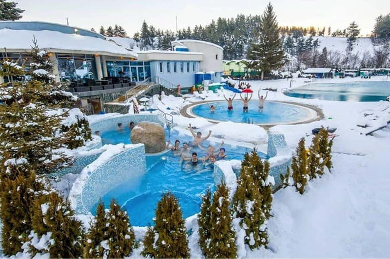 ✨Experience Sofia - nature, history, horse riding and SPA✨ - Horse Riding in Plana Mountain
