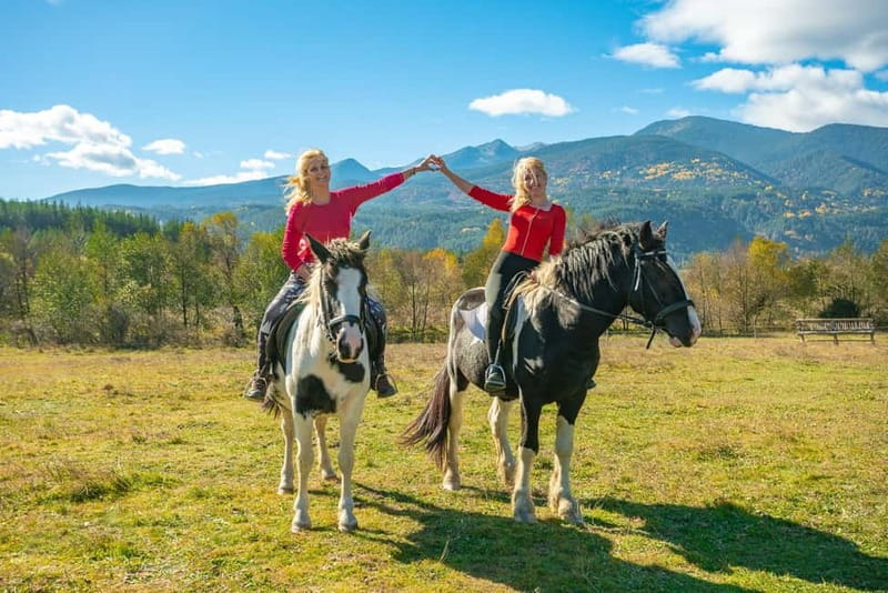 From Bansko: Horse Riding Experience - Key points to know before you book