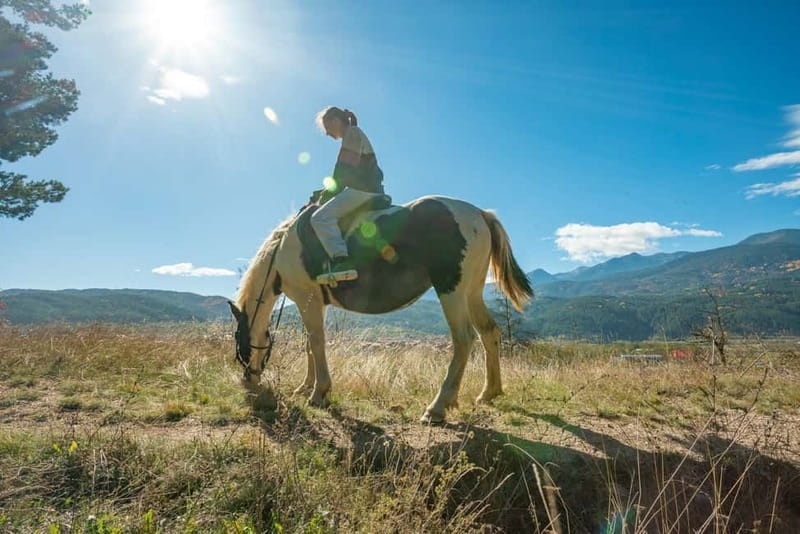 From Bansko: Horse Riding Experience - From Bansko to a Bulgarian horse ranch