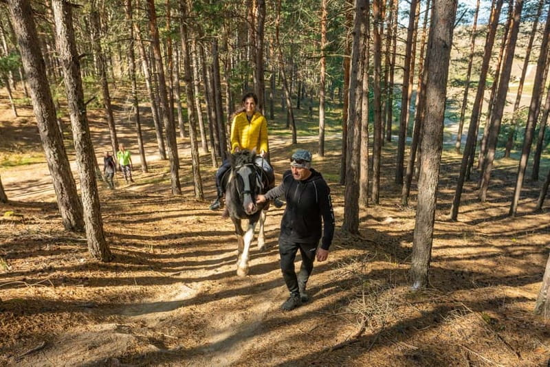 From Bansko: Horse Riding Experience - What the short itinerary really gives you