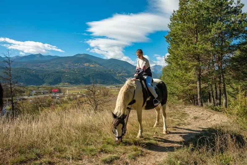 From Bansko: Horse Riding Experience - Who will enjoy this ride most?