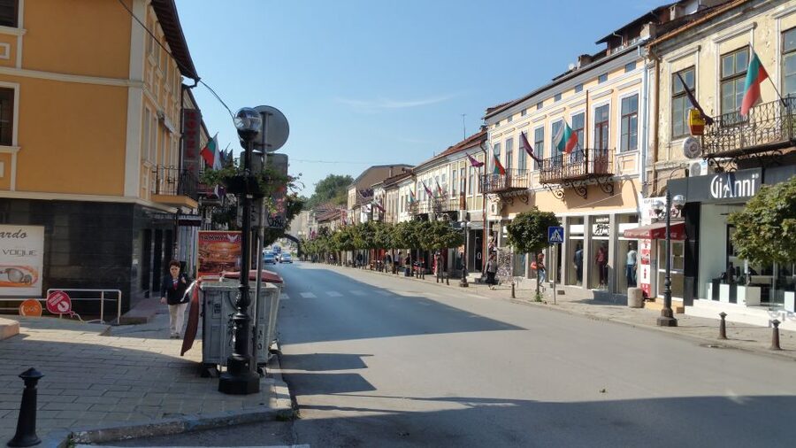 From Bucharest: Bulgaria 1-Day Tour - What the private vehicle and guide add