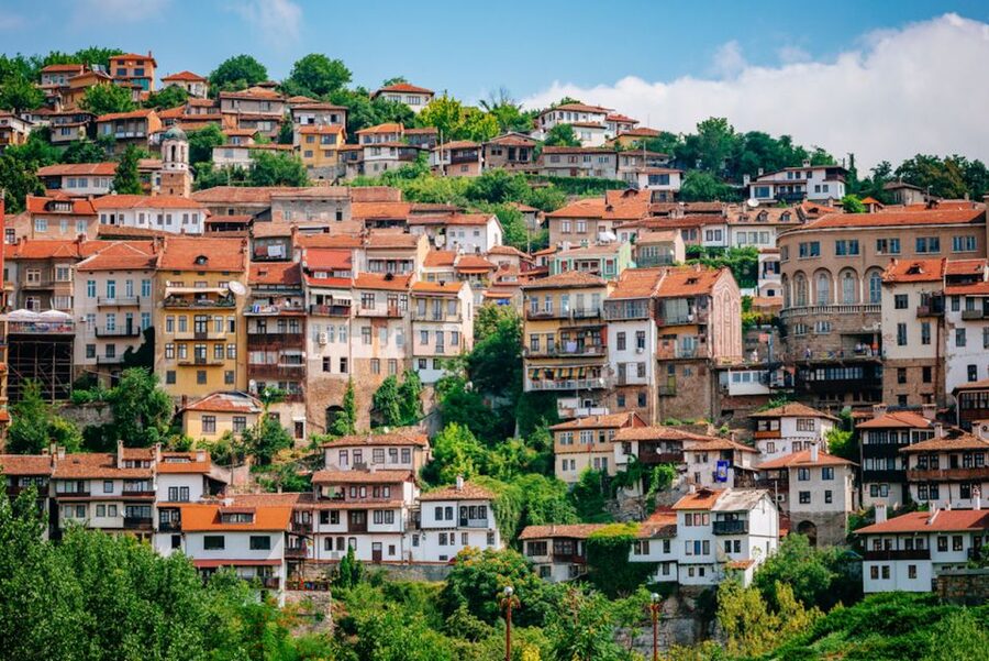 From Bucharest: Small Group Day Trip to Medieval Bulgaria - Samovodene Artisans Street and family workshops