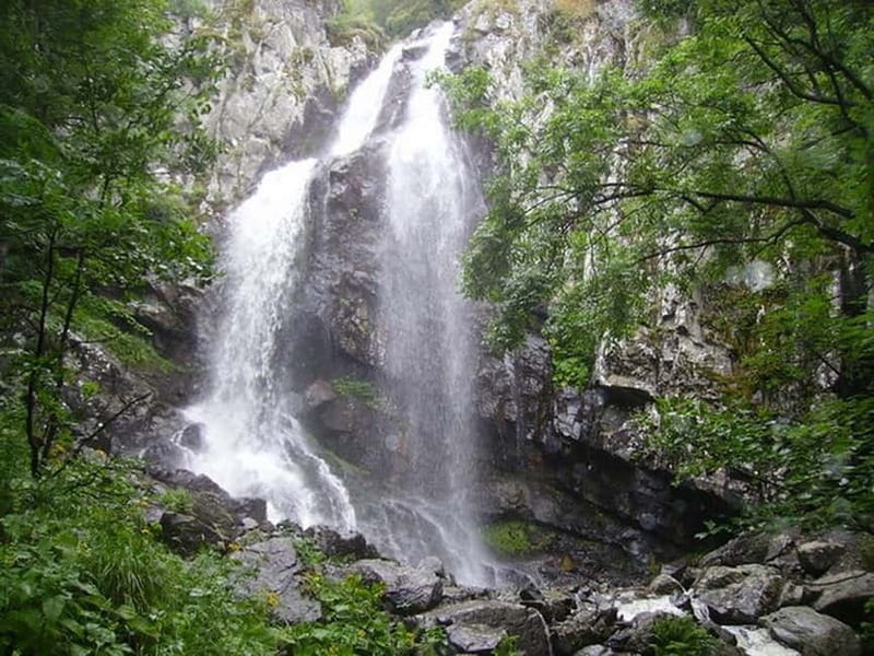 From Sofia: One-Day Tour of Vitosha Mountain - Key points to know before you book