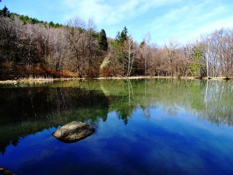 From Sofia: One-Day Tour of Vitosha Mountain - Momina Skala gives the legs a break
