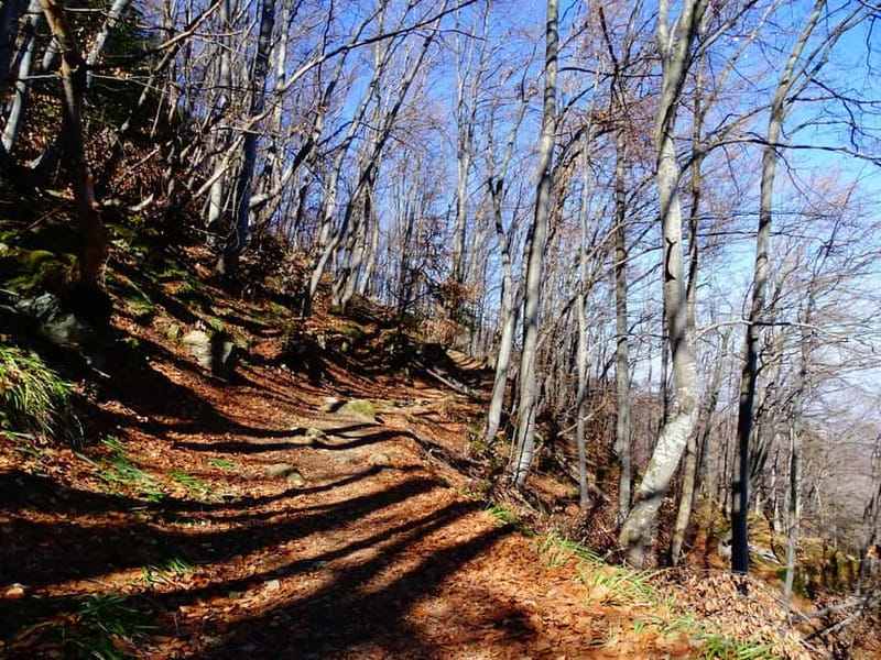 From Sofia: One-Day Tour of Vitosha Mountain - Boyana Waterfall: a beautiful but serious start