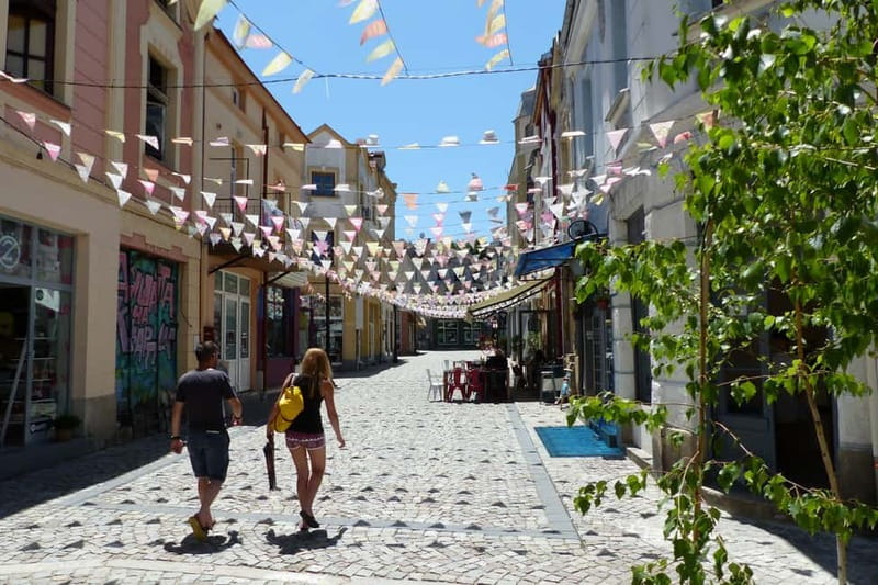 From Sofia: Plovdiv and Koprivshtitsa Full Day Tour - Walking, comfort, and the long day