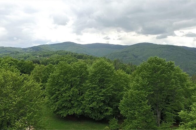 From Sofia: Serbia and Macedonia Trip - Bosilegrad: a quiet Serbian stop