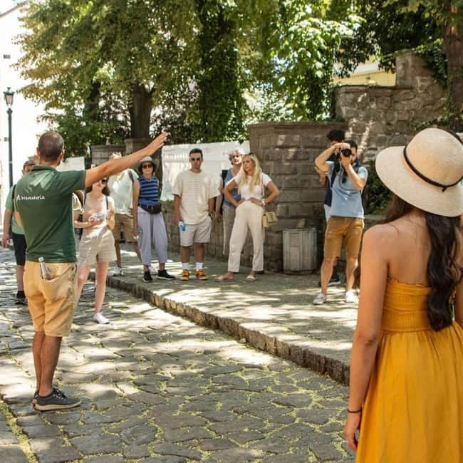 From Sofia: Small Group Guided Tour of Plovdiv's Highlights - Who will enjoy this day trip most?
