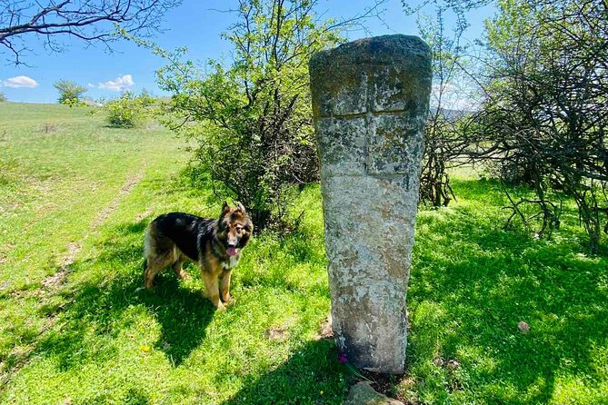 From Sofia The Beauty of the Countryside and a Homemade Lunch - What the $193.49 price really buys