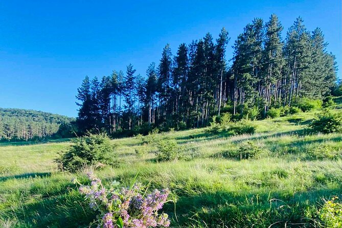 From Sofia The Beauty of the Countryside and a Homemade Lunch - The viewpoint is the payoff