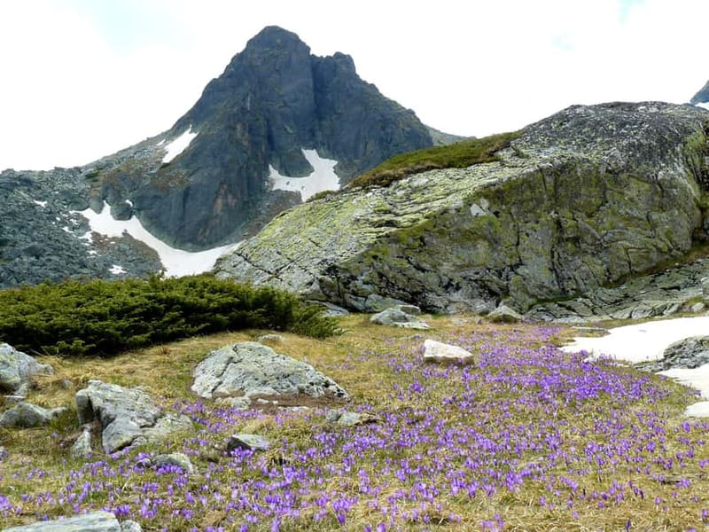 From Sofia: The Seven Rila Lakes Full-Day Self-Guided Tour - Key points to know before booking