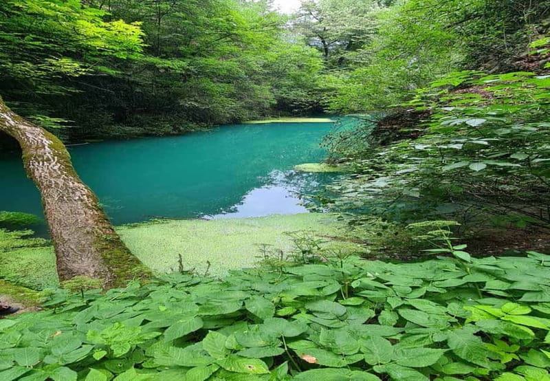 From Sofia: Zlatna Panega River Hike with Springs Visit - Key points to know before booking