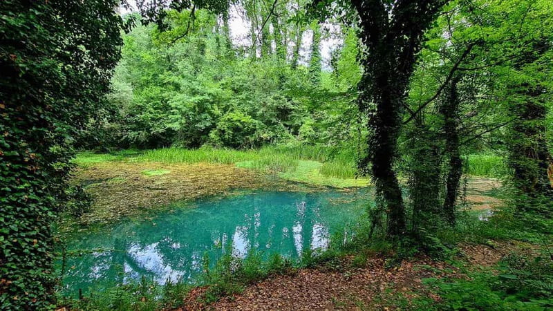 From Sofia: Zlatna Panega River Hike with Springs Visit - Why this day trip works from Sofia