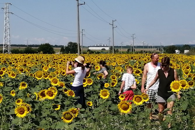 Full-Day Small-Group Tour of Bulgaria by Minivan with Lunch - The Museum of Mosaics and a Roman villa