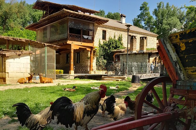 Full-Day Small-Group Tour of Bulgaria by Minivan with Lunch - Beloslav: distillery visit and lunch in a local house