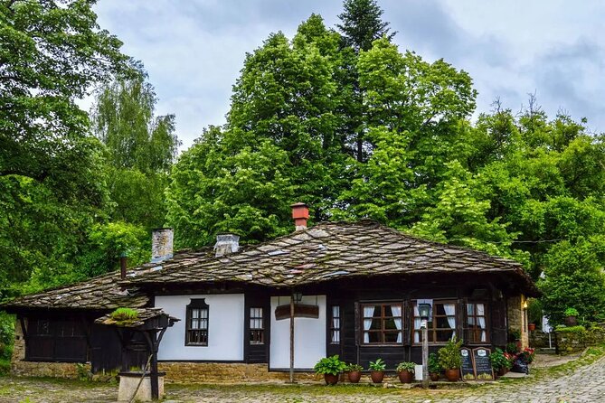 Full-Day Tour to Veliko Tarnovo Reserve of Bozhentsi and Etar from Sofia - What the private format changes
