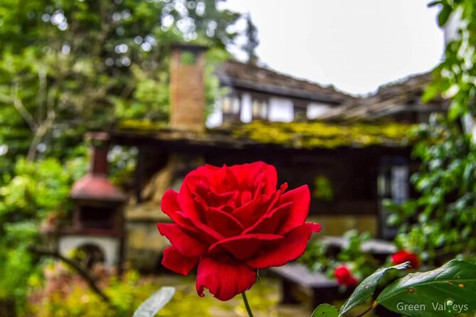 Full-Day Tour to Veliko Tarnovo Reserve of Bozhentsi and Etar from Sofia - Who should book this Sofia day trip?