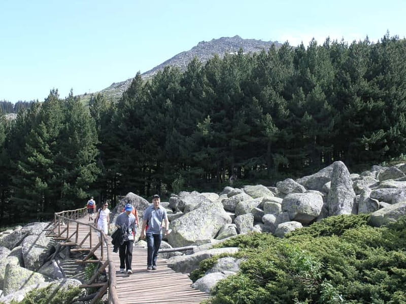 Full-Day Vitosha and Cherni Vruh Peak Hiking Tour - Why Vitosha makes such a good Sofia day trip