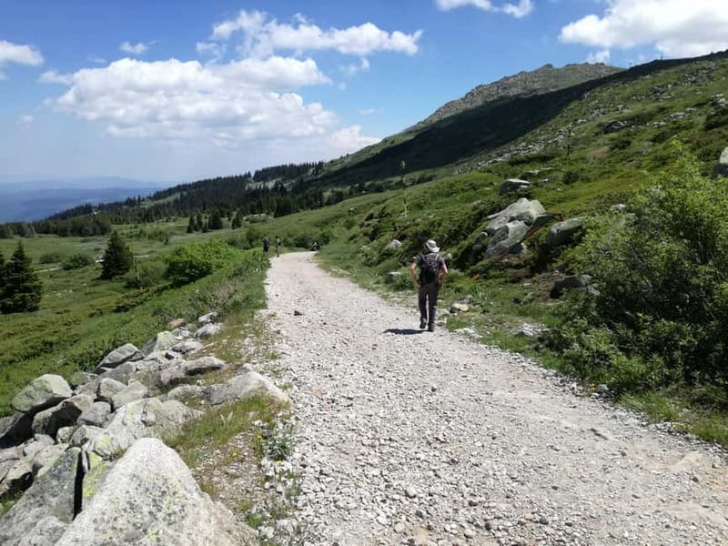 Full-Day Vitosha and Cherni Vruh Peak Hiking Tour - Golyam Rezen, Malak Rezen, and the open ridge views