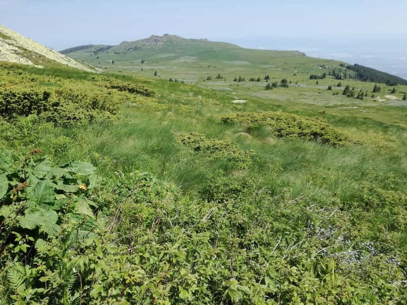 Full-Day Vitosha and Cherni Vruh Peak Hiking Tour - Who will enjoy this hike most