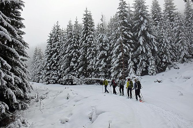 Full-day Vitosha Mountain Snowshoe Hiking Tour from Sofia - Key points to know before booking