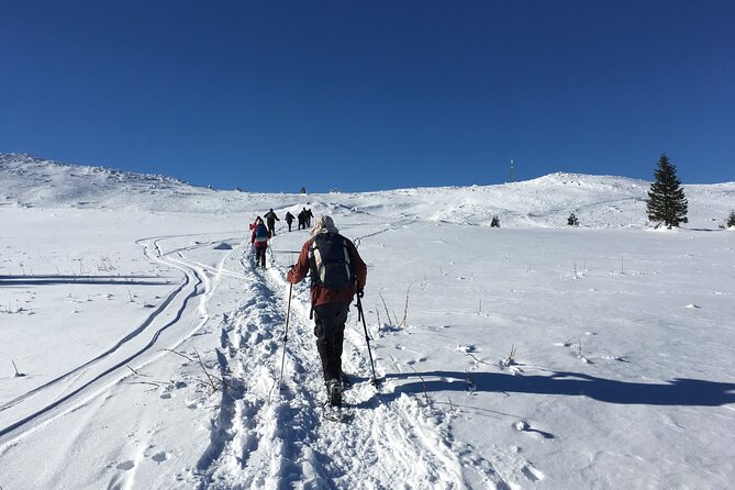 Full-day Vitosha Mountain Snowshoe Hiking Tour from Sofia - From Sofia to Aleko at 1,860 meters